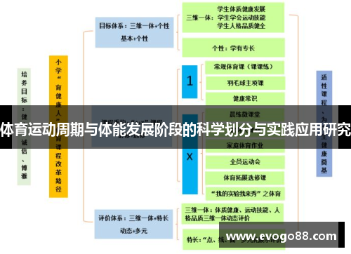 体育运动周期与体能发展阶段的科学划分与实践应用研究